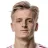 P. Mattsson
